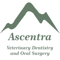 Ascentra Veterinary Dentistry and Oral Surgery